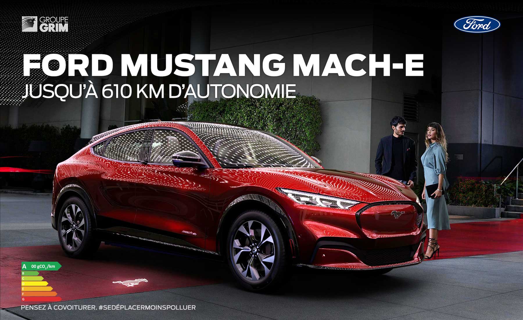 mustang