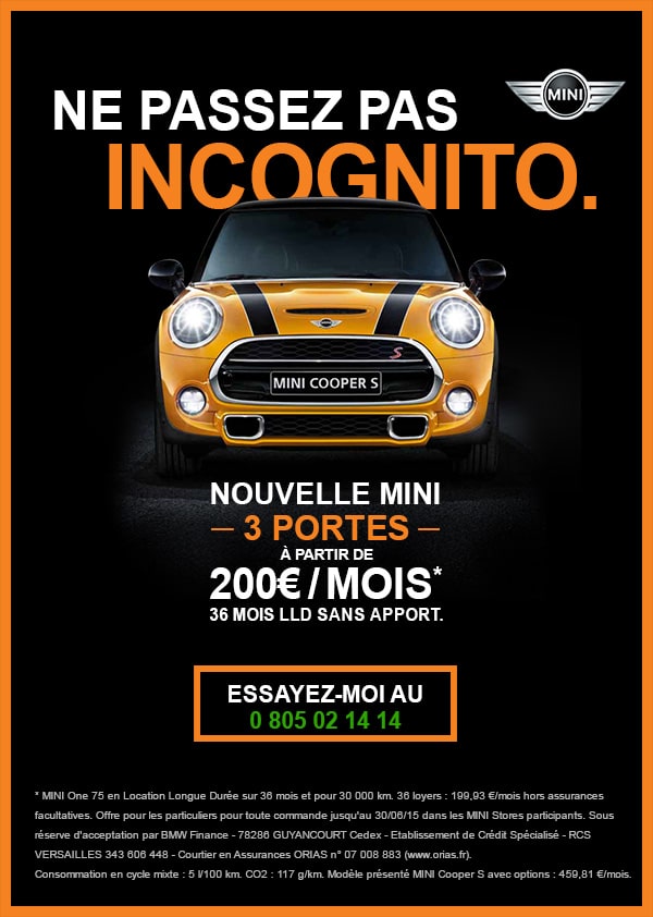 NOUVELLE MINI 3 PORTES  (1)